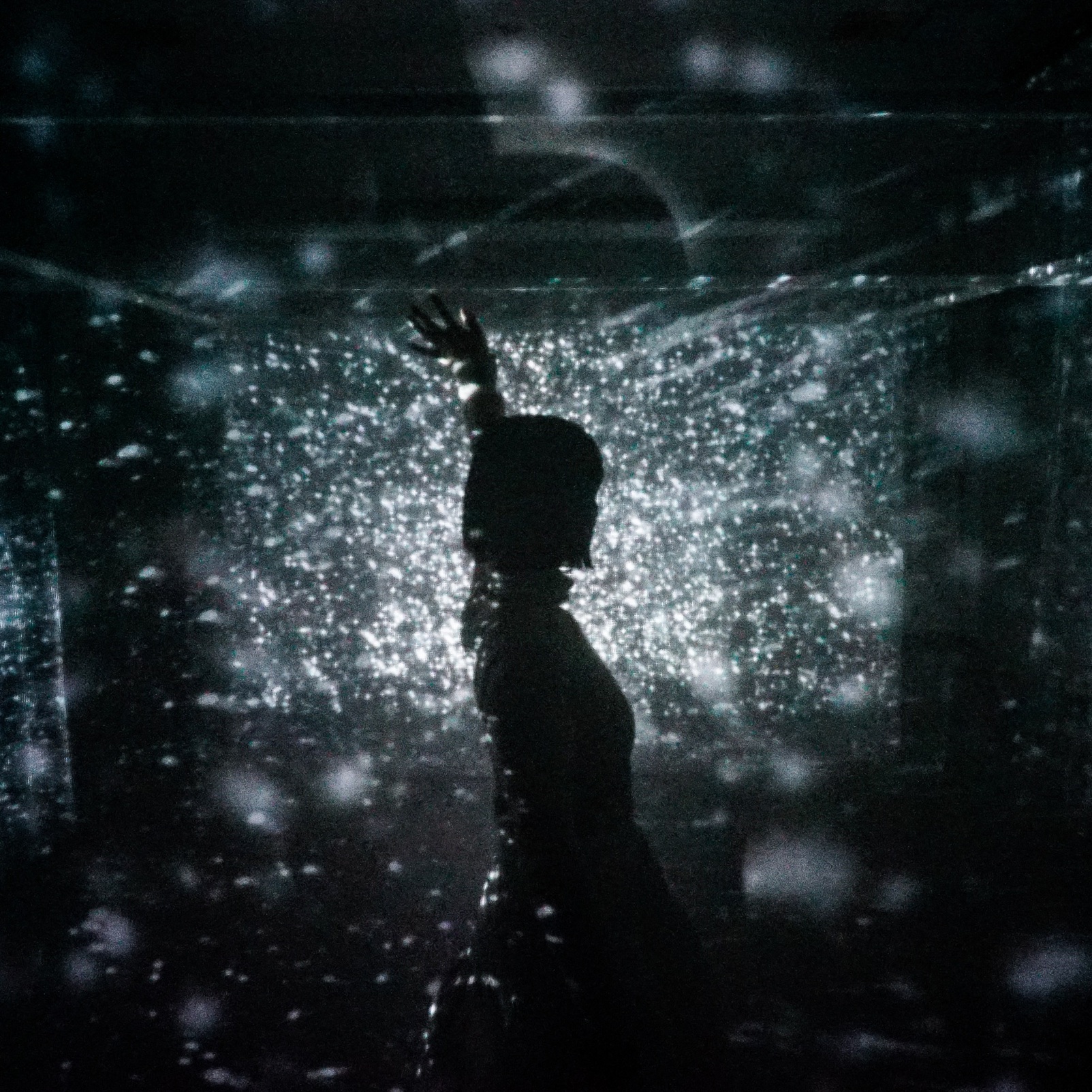 演出：棟光里（デジタルアーティスト）